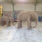 Elephant Willow Sculptures in Somerset