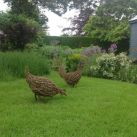 Willow Chicken Sculptures, Somerset