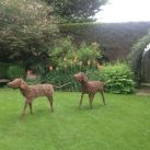 Willow Hounds Sculptures, Somerset
