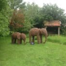 Willow Elephant Sculptures, Somerset