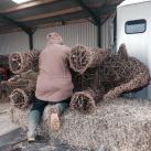 Willow Elephant Sculpture in the Making, Somerset
