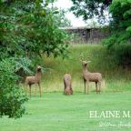 Willow Deer Sculptures at The Bishop's Palace and Gardens, Wells