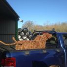 Hounds Willow Sculptures