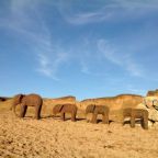Elephant Willow Sculptures on the Beach