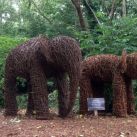 Willow Elephant Sculptures