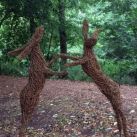 Boxing Willow Hares