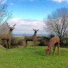 Willow Deer Sculptures