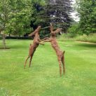 Boxing Willow Hares
