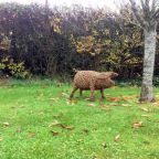 Willow Pig Sculpture