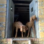 Willow Hound Sculptures