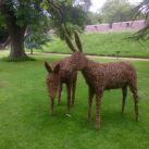 Willow Donkey Sculptures